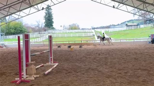 2K views · 107 reactions | It was an exceptional clinic in Northern...