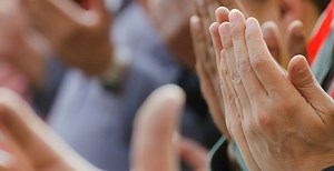 Tri dove koje bi trebali znati - N-UM.com