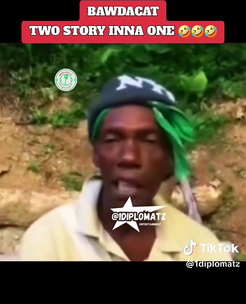Bawdacat: Hilarious Two Stories in One