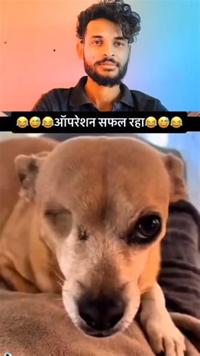 nizo on Instagram: "Japan is turning footsteps into electricity using piezoelectric tiles. Every step creates a small amount of energy, and millions of steps together power LED lights and digital systems-supporting a more sustainable urban future. #Japan #Future Technology #Renewable Energy #SmartCity"