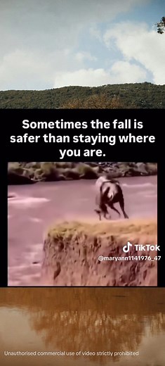Finding Safety in God's Call: Embracing the Fall