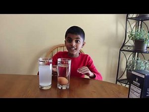 Salt water,Egg Science Experiment /Simple school experiment /salt water density/floating egg science