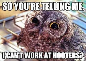 hooters