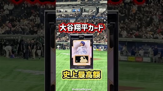 【2025 Topps Museum Collection Baseball】発売日・封入内容・変更点を完全解説