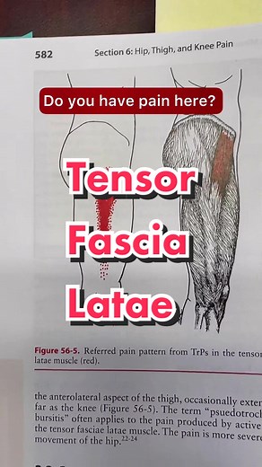 Give this TFL stretch a try🙌🏼 #tfl #tensorfasciaelatae #myofascialrelease #triggerpoint