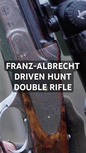 Three Wild Boar Hunted on Driven Hunt