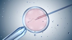 Artificial Insemination Vitro Fertilization 3d Animation Stock Footage Video (100% Royalty-free) 1097911951 | Shutterstock