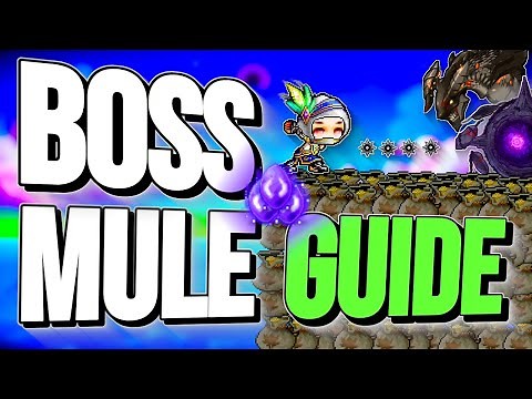 MapleStory ULTIMATE Boss Mule Guide 2025