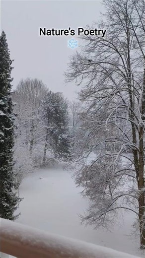 Snowfall : Nature's Poetry | #shorts