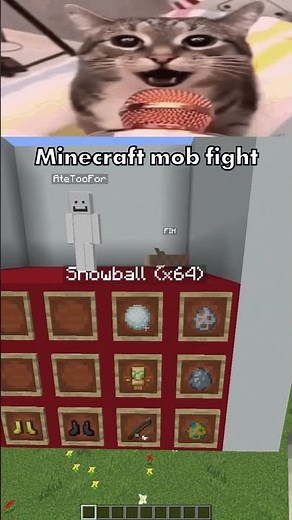 Minecraft Mob Fight
