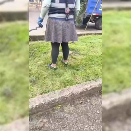 La Redacción on Instagram: "#Cajamarca | En la Avenida Atahualpa rumbo a Baños del Inca ya no hay sombra. Hay troncos cortados. Hay tierra removida. Hay silencio verde. Todo para que el Carnaval de Cajamarca 2026 tenga espacio suficiente para sus graderíos y su espectáculo. La escena no necesita interpretación: donde había árboles, ahora hay vacío útil. La Municipalidad actúa con una lógica brutalmente simple: primero la fiesta, después —si queda tiempo— el ambiente. Si el árbol incomoda la vist