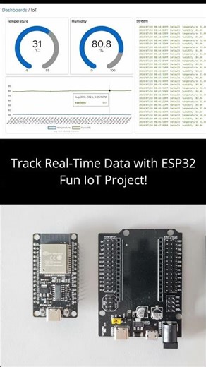 How to Track Real-Time Data Remotely - IoT Project!