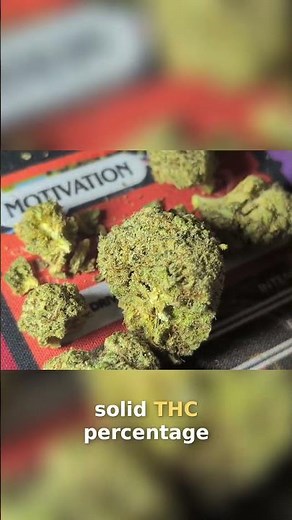 Blue Dream: Potency, Effects & What to Expect #shorts