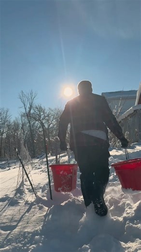 Winter mornings on the farm. Quiet work, steady rhythm. #farmshorts #winterfarming #slowliving