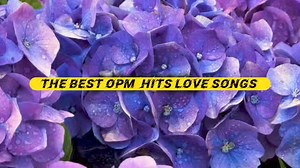 212K views · 1.7K reactions |  AIR SUPPLY SONGS MEDLEY The Best OPM Hits Love Song 2024 Edited By: MUSIC LOVER This Videos is credit to the Owner | MUSIC LOVER | Facebook