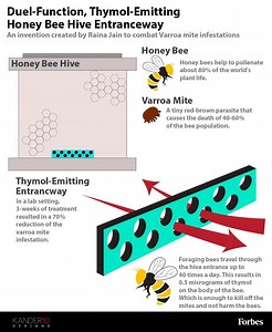 Honey Bee Mite Treatment