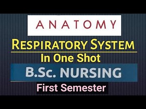 "Mastering the Respiratory System in One Shot | Anatomy | BSc Nursing 1st Semester ✨"