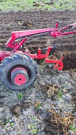 A good helper on the land. The Belarus walk-behind tractor. #agritechnology #farming #tractor #ag...