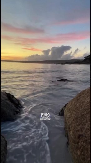 romântico favela forró no TikTok