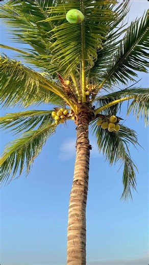 Hello Hen nè 🤪🤪🤪 #hen #HHenNie #reels | H'Hen Niê