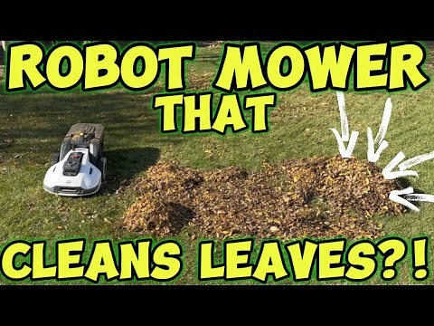 Robot Lawn Mower That Cleans Up Leaves?! Mammotion Yuka Lawn Sweeping Robot Lawn Mower