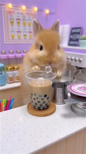 Tiny Bunny Barista 🐰☕ | Adorable Mini Boba Tea Shop ASMR | UsaHighRoll