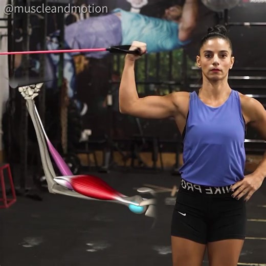 56K views · 919 reactions | HIGH BICEPS CURLS  The Biceps Curl is...