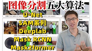 【图像分割】怎么学才能快速出成果？迪哥梳理图像分割最佳学习路线，UNet/Deeplab/Mask-RCNN/Mask2former/SAM五大核心算法全详解！