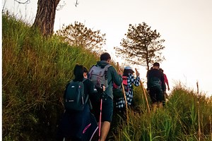 Pioneer Community Energy | Who We Serve