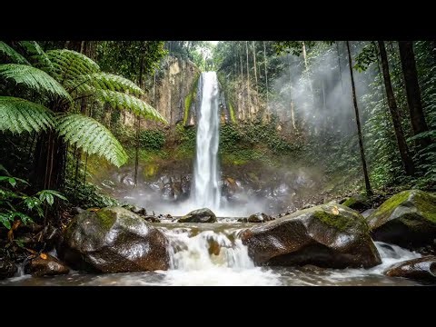 Brain Power: Alpha Waves Nature Soundscape