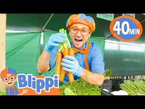 Blippi Visits Farms and Learns about Fruits and Vegetables! | BEST OF BLIPPI | Educational Videos