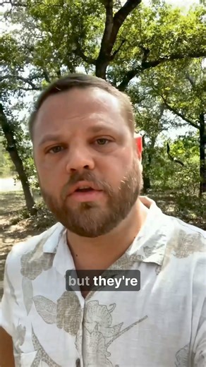 Premium flight deals that don't exist anywhere else. While others search the same 5 booking sites, Basis finds business class fares hidden from public view. Enter your home airport, pick any destination—and discover deals that will make you question why you ever paid full price. These aren't mistake fares. They're insider rates. | FlyBasis | Facebook