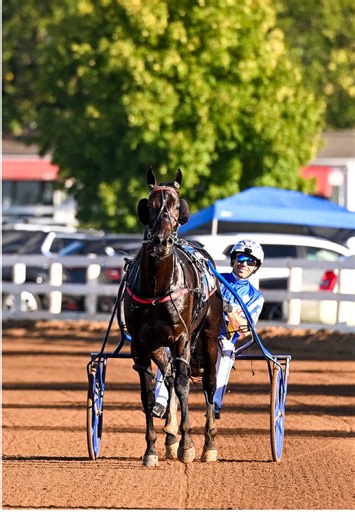 Emoticon Legacy Clinches Victory at Kentucky Futurity