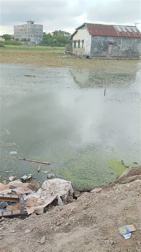 assalamualaikum besty🙏 | Ocell Ocell