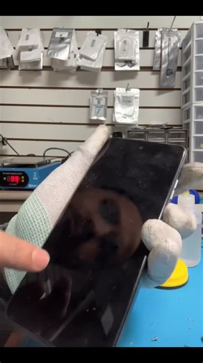 Phone Doctor Aron on Instagram: "Motorola moto g 5g 2025 screen replacement only in 60$ #repair #screen #broken #motorola #tech Phone Doctor 5051 W Olive Ave, Glendale, AZ 85302 thats my location Open from 10 am to 8 pm Sunday 10 am to 5 pm"