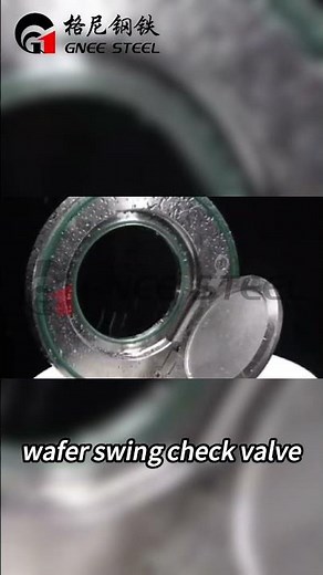 Wafer Swing Check Valve #valve #checkvalve