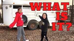 792K views · 14K reactions | New Animals on the Farm! Really BIG Animals! AFH T-Shirts, Hoodies, and Hats! https://www.armsfamilyhomestead.com Follow us on Instagram https://www.instagram.com/arms_family_homestead Arms Family Homestead PO Box 167 Sulphur, Ok 73086 | Arms Family Homestead | Facebook