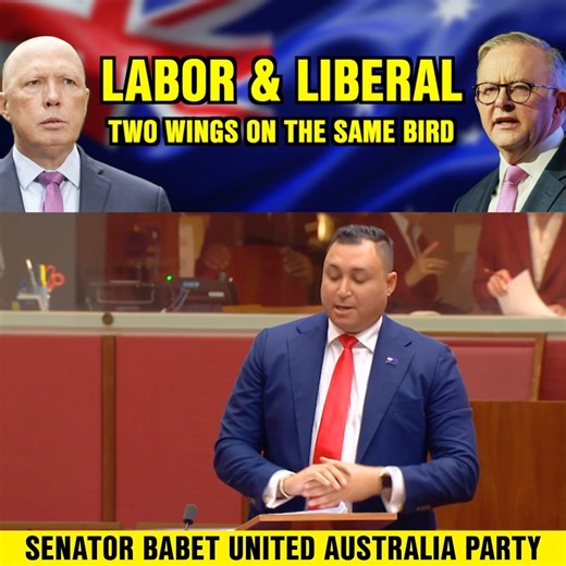 Senator Babet on Instagram: "Labor and Liberal are two sides of the same globalist coin, identical on key issues, differing only on trivial distractions as our nation declines. A vote for either is a vote wasted. The Trumpet of Patriots is the only party with the resources, know-how, and experience to influence the nation's direction in any meaningful way. The United Australia Party proudly allies with TOP. I support their candidates and leader, Ms. Suellen Wrightson, I know she will do a great 