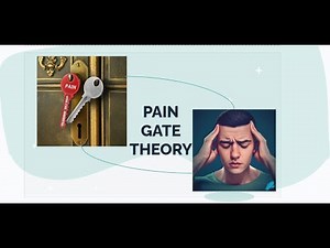 Pain Gate Theory: Everything that makes this theory important for physiotherapists!