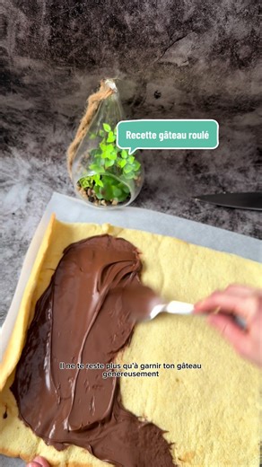 Recette de Gâteau Inratable pour Bûches Roulées