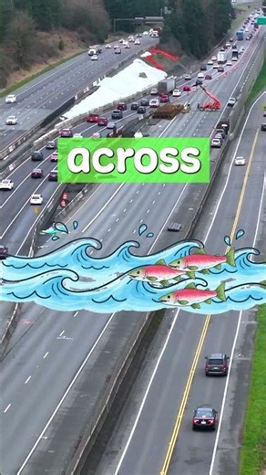 Update Traffic Impacts: WSDOT Fish Passage Project