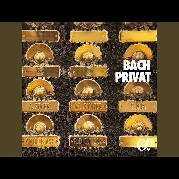 Cantata "Ich habe genug", BWV 82: II. Recitative "Ich habe genug"