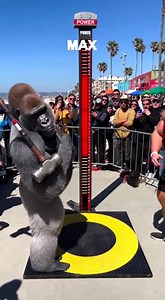 “Gorilla vs Bodybuilder: Power Hammer Challenge Shocks the Crowd!” | mr jery