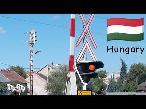Railroad Crossings Around The World (READ DESC)(Most viewed video)