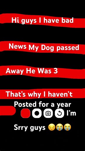 R.I.P. Stitch Solis🙁😔😭 I love you