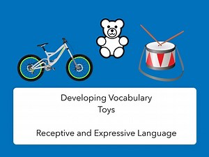 Developing Vocabulary - Toys (receptive and expressive)