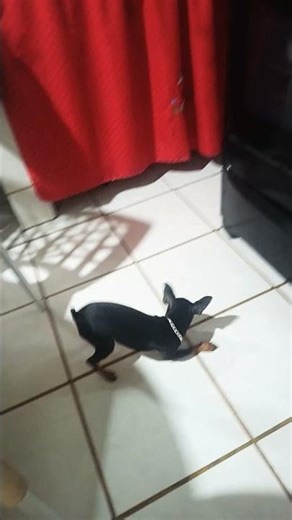 14 de março de 2026