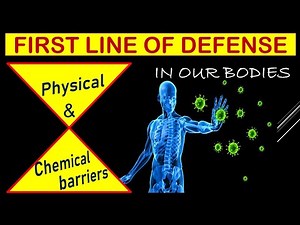First line of defense in Immune system | Outline idea of physical and chemical barriers in our body.