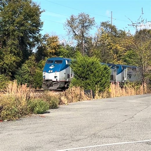 Double P42s on the Crescent #shorts #train #amtrak #railroad #crescent #passengertrain