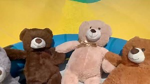 CUTEST. WATERSLIDE. VIDEO. EVER!!! These adorable bears take a slide at Cowabunga Bay in Las Vegas! | Theme Park Review